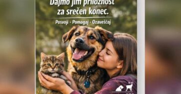 Fb Img 1775330352078