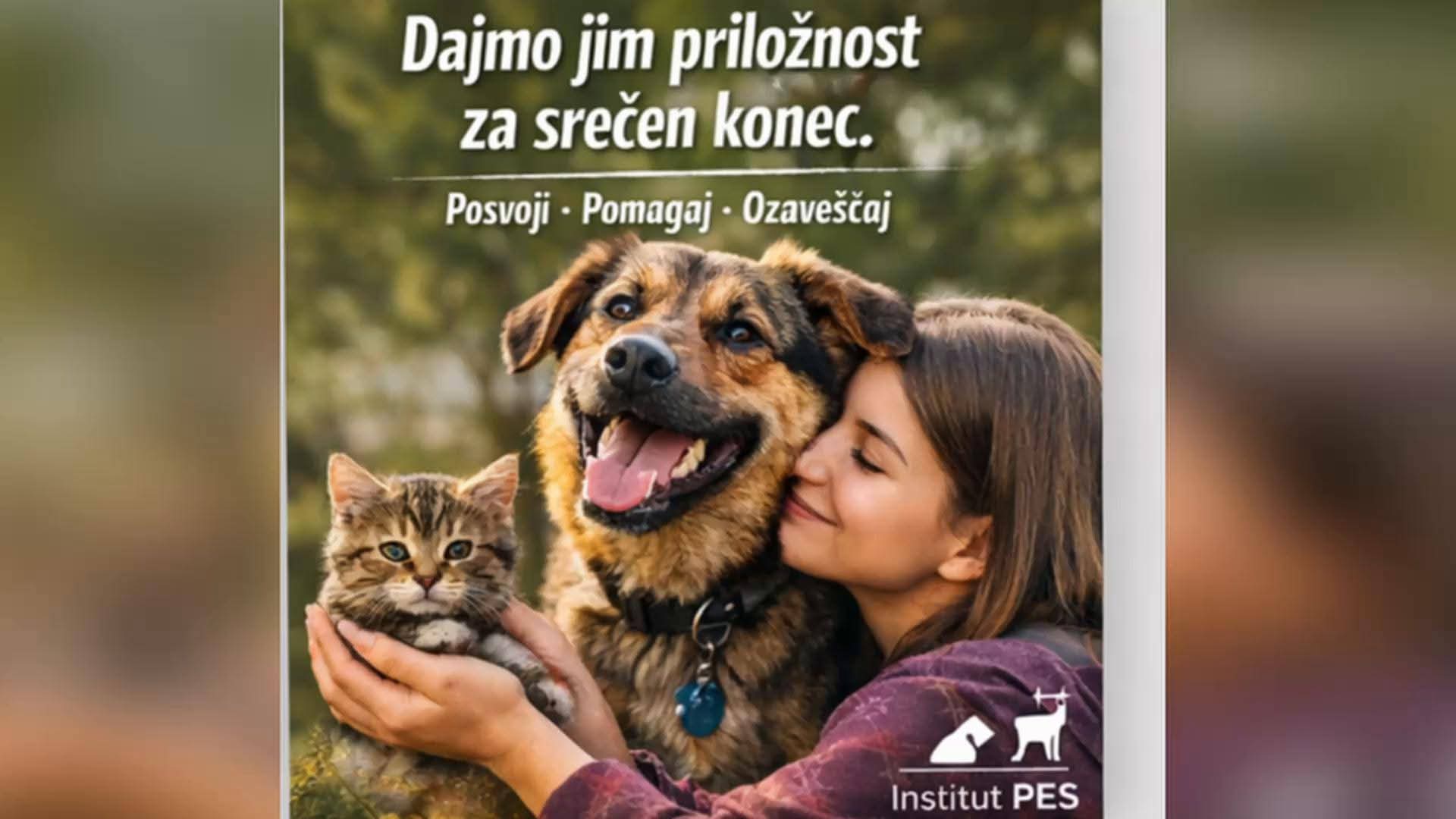 Fb Img 1775330352078